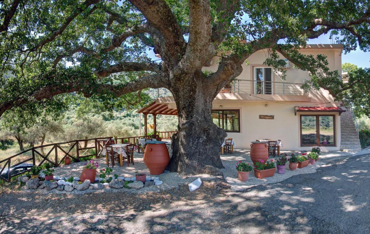 Antartisa B&B Limni  Kültér fotó