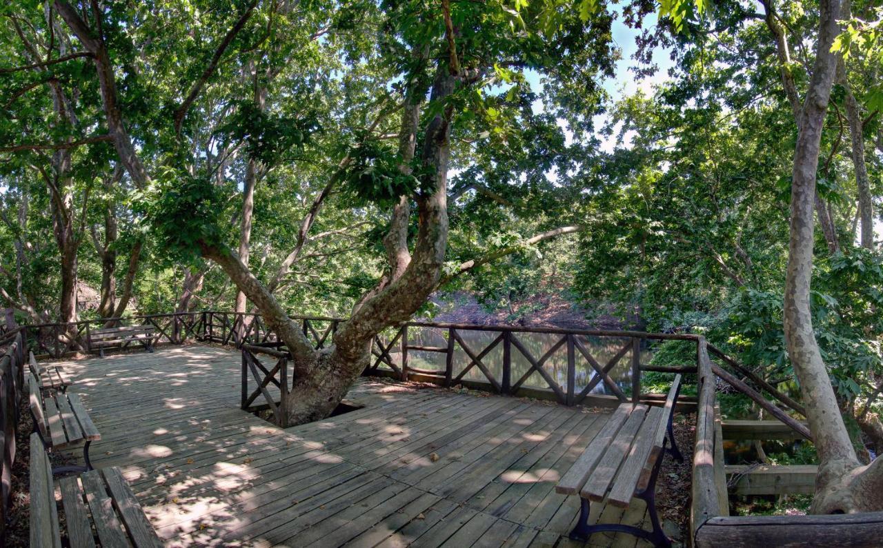Antartisa B&B Limni  Kültér fotó