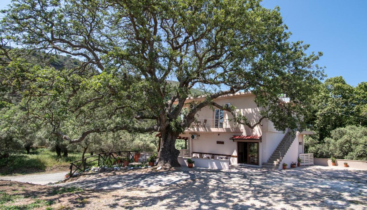 Antartisa B&B Limni  Kültér fotó